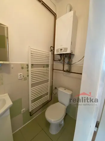 Pronájem bytu 1+1, Opava - Předměstí, Rybářská, 38 m2