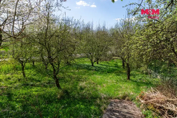 Prodej atypického bytu, Orlová - Město, Fr. Palackého, 140 m2