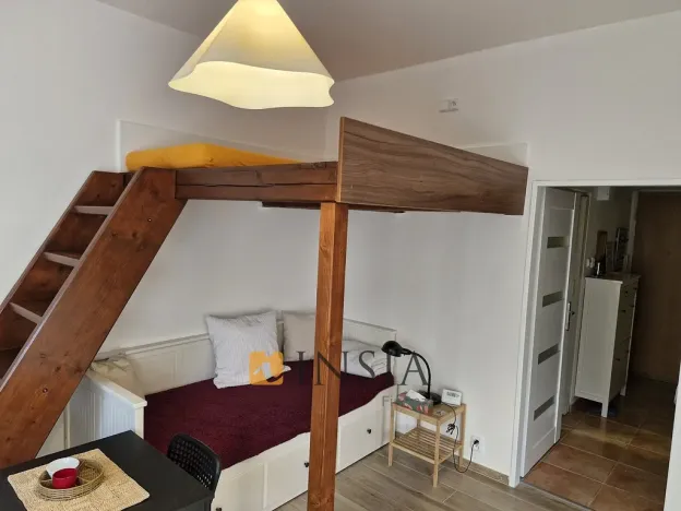 Pronájem bytu 1+kk, Praha - Bubeneč, Terronská, 25 m2