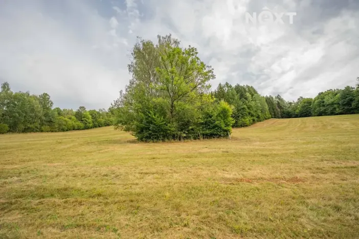 Prodej rodinného domu, Oskava, 145 m2