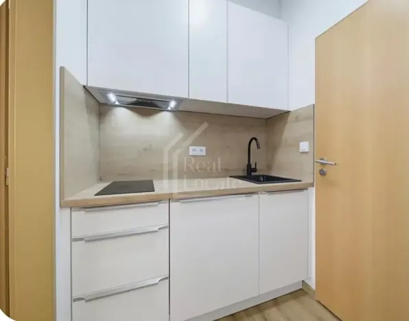 Pronájem bytu 1+kk, Praha - Žižkov, Seifertova, 25 m2