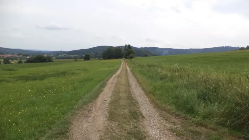 Prodej pozemku, Holubov, 5614 m2