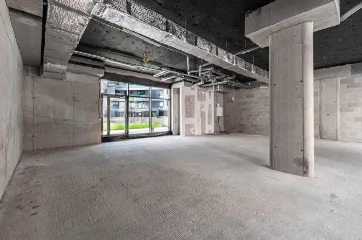 Prodej obchodního prostoru, Praha - Nusle, Nuselská, 303 m2