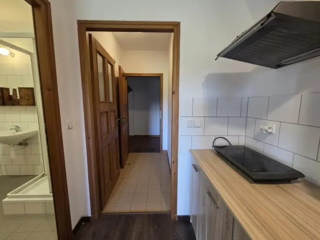 Pronájem bytu 1+kk, Skalice - Skalička, 49 m2