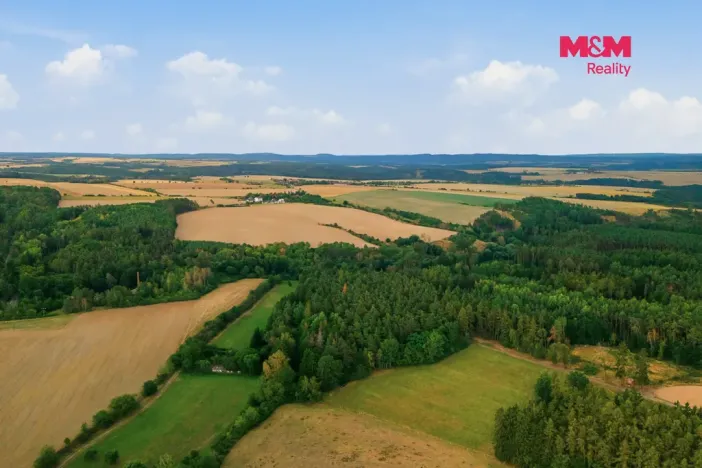 Prodej lesa, Břežany, 3520 m2