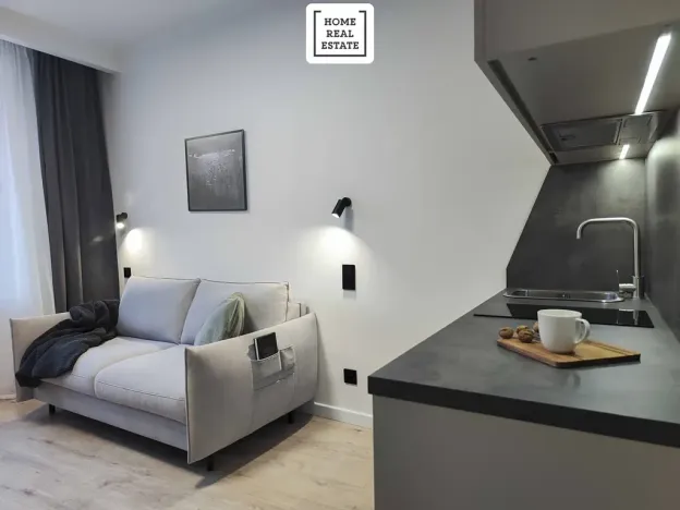 Prodej bytu 1+kk, Praha - Žižkov, Hartigova, 23 m2