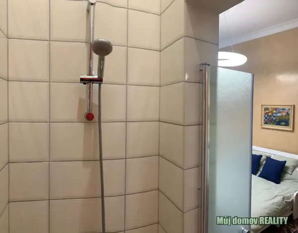Pronájem bytu 1+kk, Praha - Nové Město, Hálkova, 33 m2