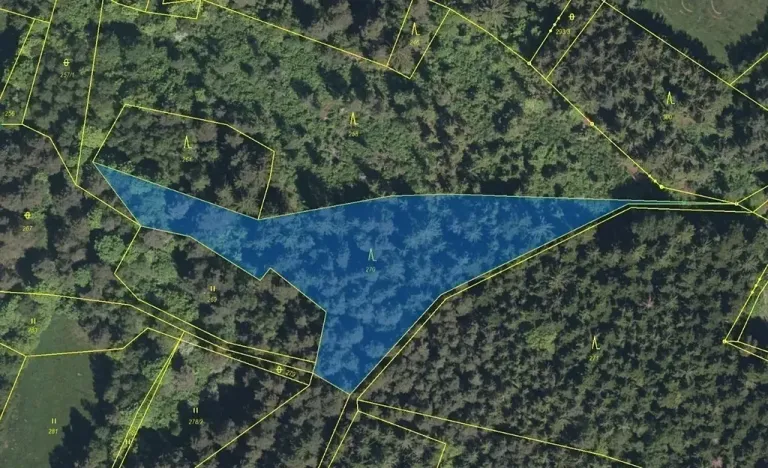 Dražba lesa, Zálezly, 4502 m2