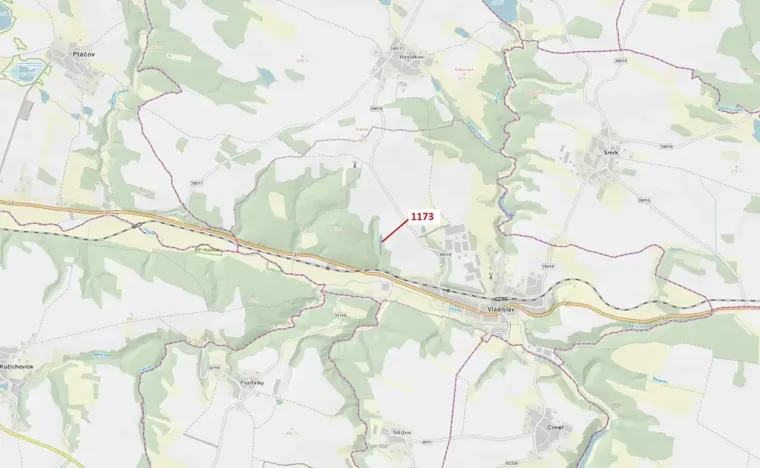Dražba lesa, Vladislav, 1726 m2