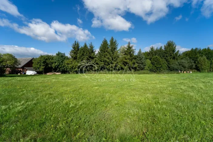 Prodej pozemku pro bydlení, Vlčice, 1000 m2