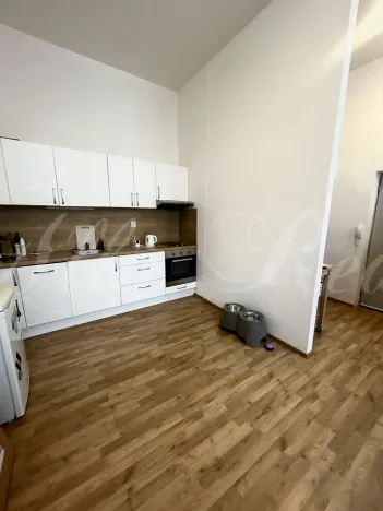 Pronájem bytu 2+kk, Brno - Zábrdovice, Vlhká, 60 m2