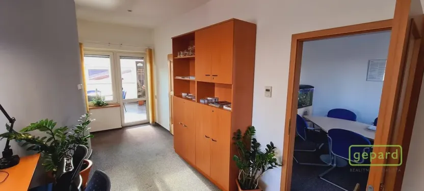 Prodej rodinného domu, České Budějovice - České Budějovice 2, Husova tř., 208 m2