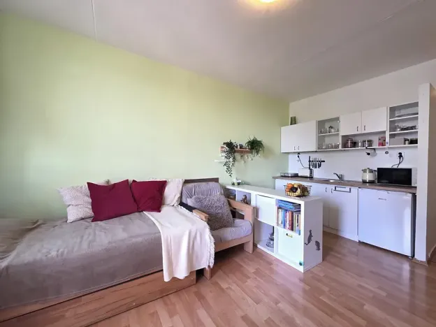 Pronájem bytu 1+kk, Brno, Opálkova, 26 m2