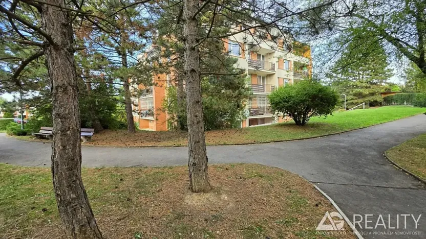 Pronájem bytu 3+1, Praha - Dejvice, Krohova, 76 m2
