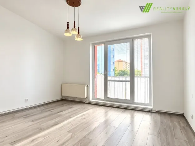 Prodej bytu 3+1, Hodonín, Seifertova, 62 m2