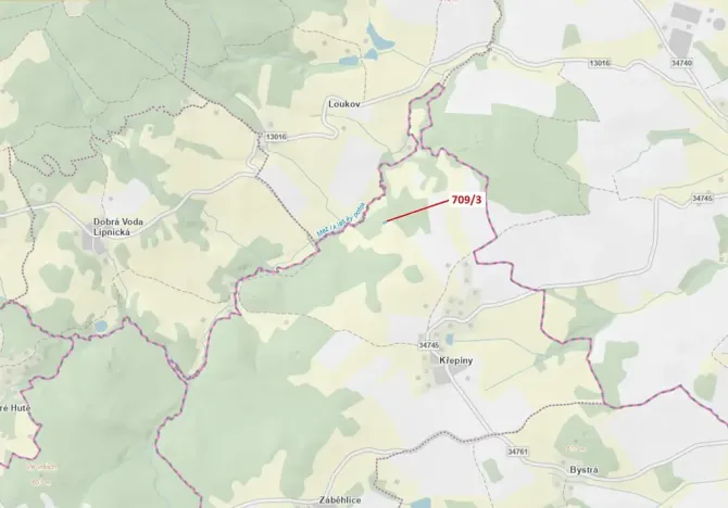 Dražba lesa, Řečice, 350 m2