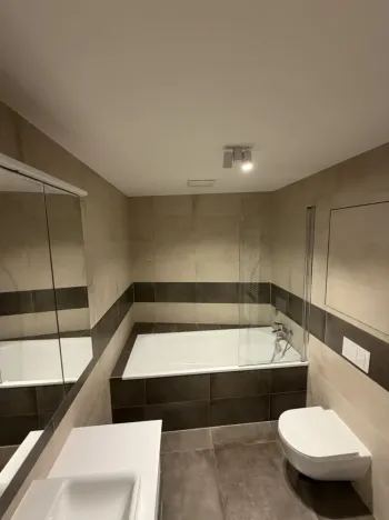Pronájem bytu 2+kk, Ostrava - Moravská Ostrava, F. X. Riepla, 60 m2