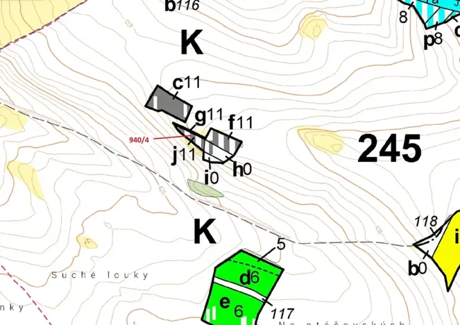 Dražba lesa, Vladislav, 591 m2