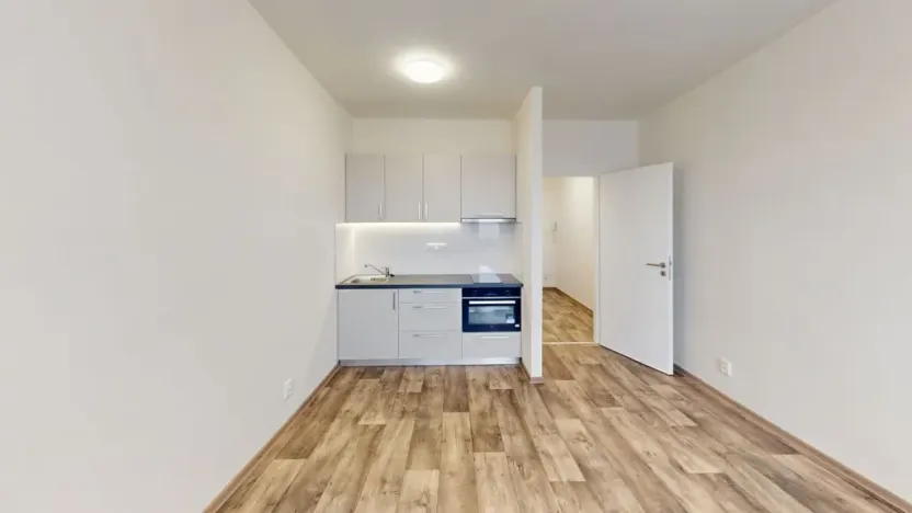 Pronájem bytu 1+kk, Ostrava - Moravská Ostrava, 30. dubna, 30 m2