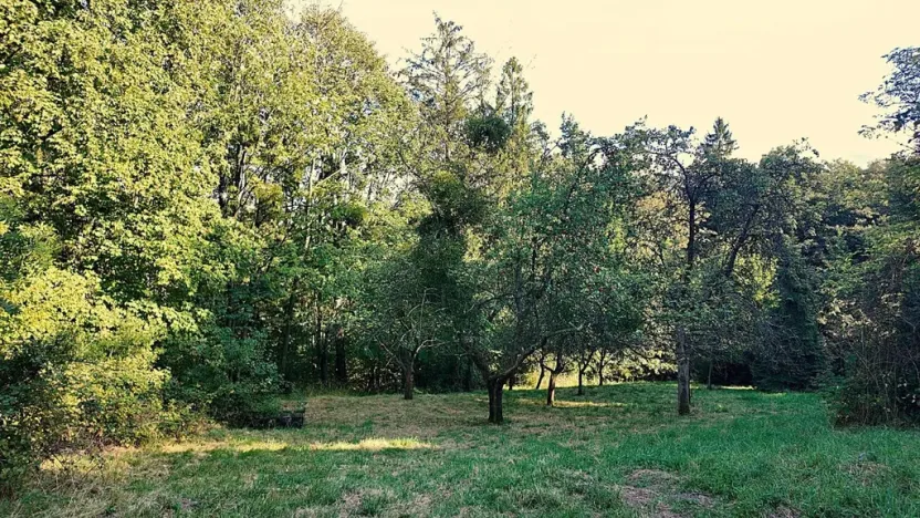 Prodej rodinného domu, Lhotka, 170 m2