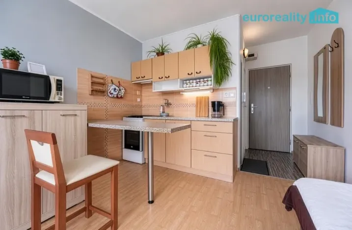 Pronájem bytu 2+kk, Cheb, Boženy Němcové, 33 m2
