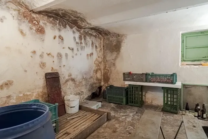 Prodej rodinného domu, Litomyšl, 408 m2