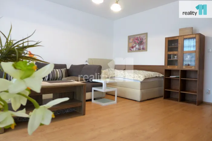 Prodej bytu 1+1, Karlovy Vary - Doubí, Spálená, 50 m2