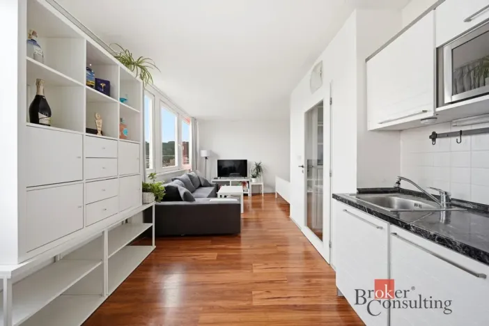 Prodej bytu 1+kk, Praha - Karlín, Molákova, 30 m2