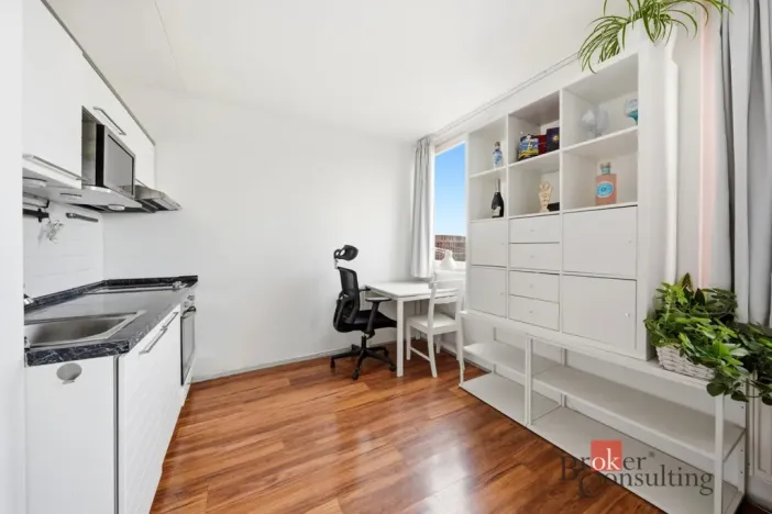 Prodej bytu 1+kk, Praha - Karlín, Molákova, 30 m2
