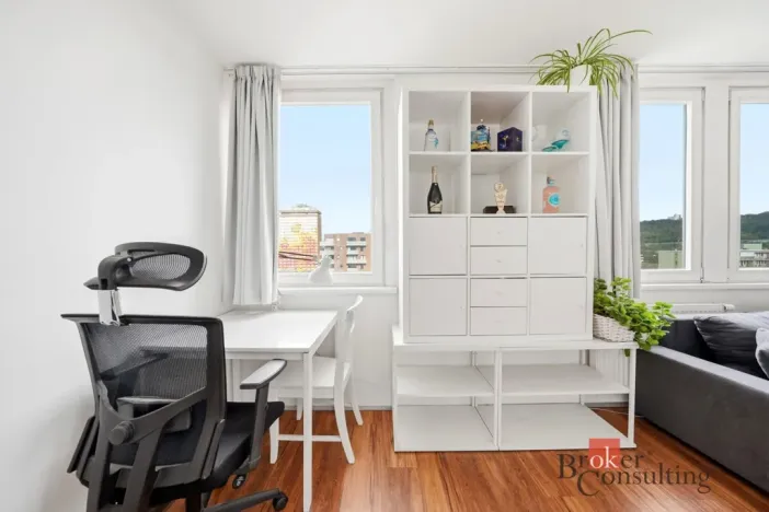 Prodej bytu 1+kk, Praha - Karlín, Molákova, 30 m2