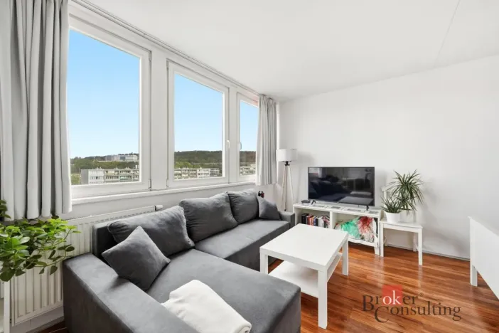 Prodej bytu 1+kk, Praha - Karlín, Molákova, 30 m2