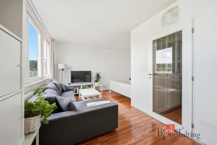 Prodej bytu 1+kk, Praha - Karlín, Molákova, 30 m2