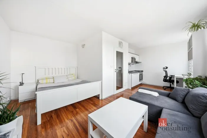 Prodej bytu 1+kk, Praha - Karlín, Molákova, 30 m2