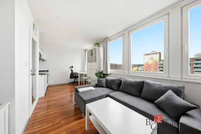 Prodej bytu 1+kk, Praha - Karlín, Molákova, 30 m2