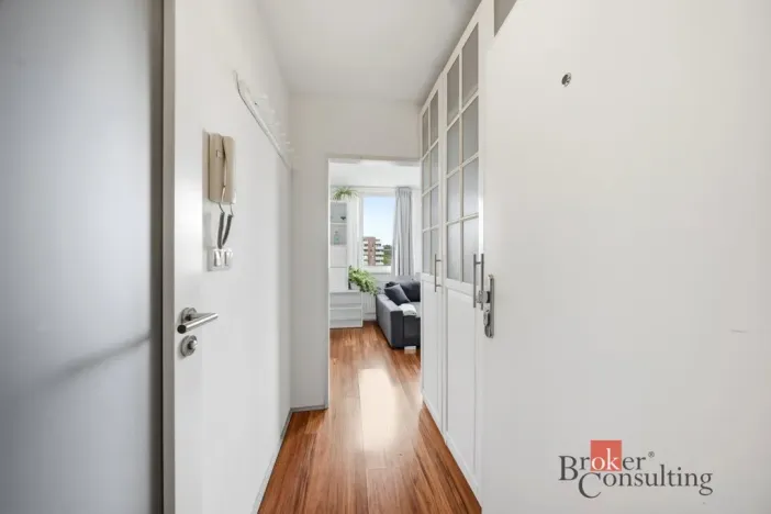 Prodej bytu 1+kk, Praha - Karlín, Molákova, 30 m2