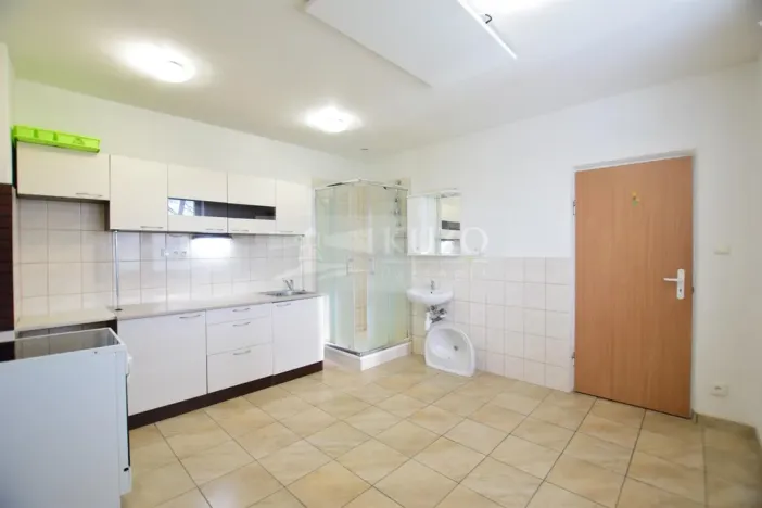 Pronájem bytu 1+1, Plzeň, K Papírně, 37 m2