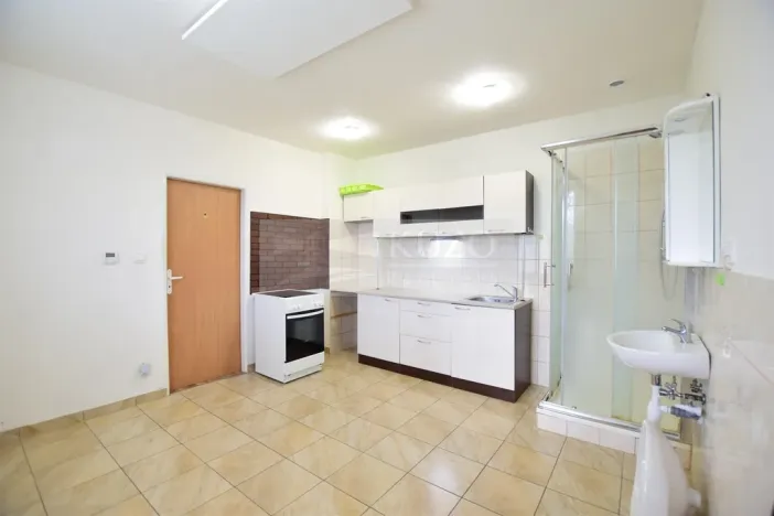 Pronájem bytu 1+1, Plzeň, K Papírně, 37 m2