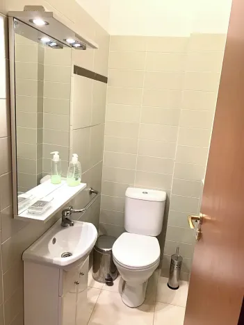 Pronájem bytu 2+kk, Praha - Žižkov, Bořivojova, 56 m2