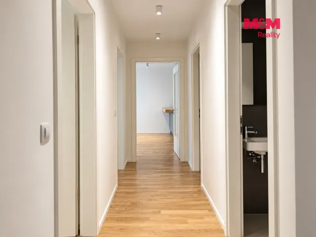 Pronájem bytu 3+kk, Praha - Žižkov, U Viktorie, 70 m2