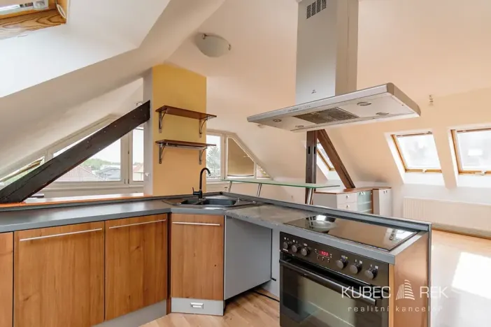 Pronájem bytu 2+kk, Tábor, Sezimova, 66 m2