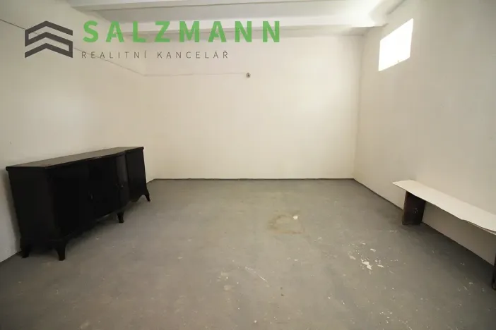 Prodej skladu, Plzeň, Francouzská třída, 39 m2
