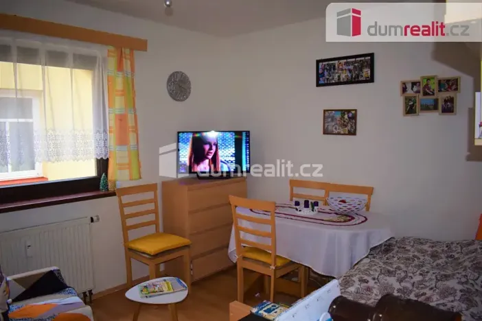 Pronájem bytu 1+kk, Mnichovo Hradiště, Ivana Olbrachta, 20 m2