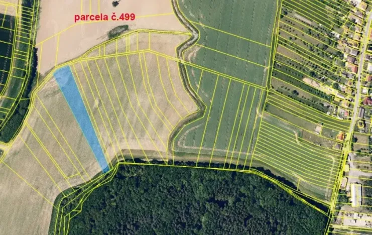Prodej pole, Karlovice, 13069 m2