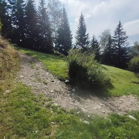 Prodej chalupy, Strážné, 200 m2