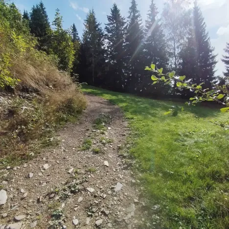 Prodej chalupy, Strážné, 200 m2