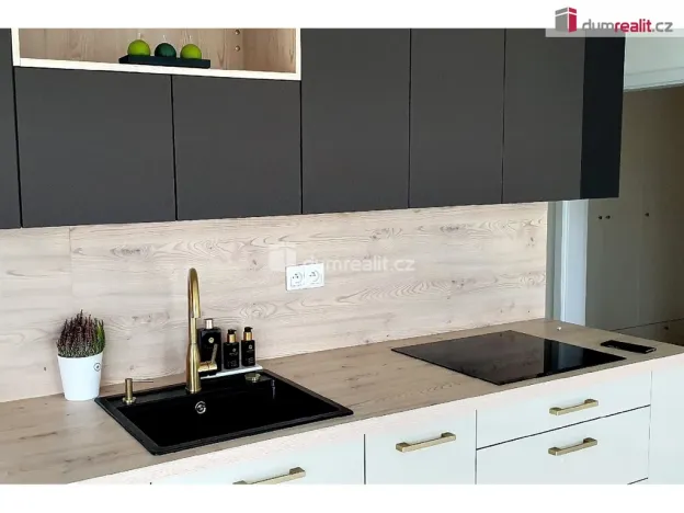 Pronájem bytu 3+kk, Plzeň - Východní Předměstí, Truhlářská, 88 m2