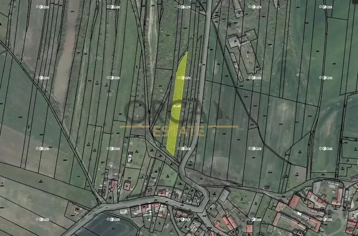 Prodej pole, Chožov, 2558 m2