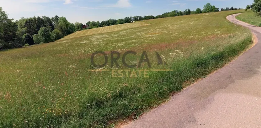Prodej louky, Liberk, 12372 m2