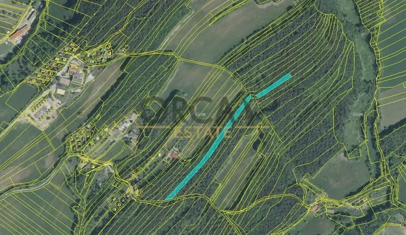 Prodej lesa, Pozlovice, 9893 m2