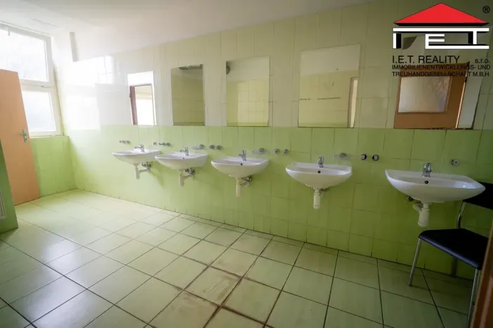 Prodej výrobních prostor, Ostrava, Lihovarská, 21100 m2